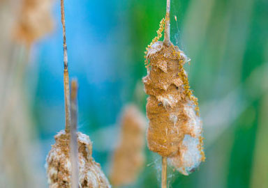 踏踏实实干活的在线DDOS平台攻击